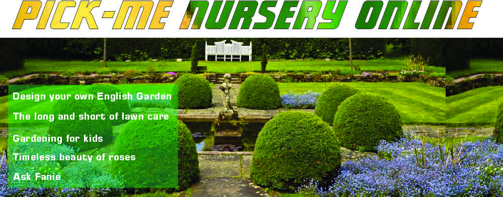 202410 - 1000x400 - Cover