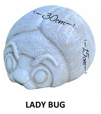 Concrete Lady Bug