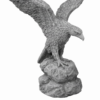 Eagle on Rock Statue