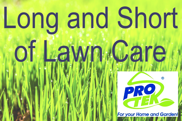Long and Short of Lawn Care