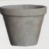 Rustic Concrete Pot