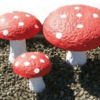Mushroom Set