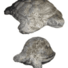 Tortoise Ornament