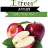 Apple Early Red One Plant 10L