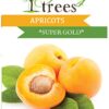 Apricot Supergold Plant 10L