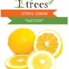 Citrus Lemon Meyer Plant