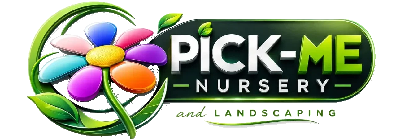 LogoTransparentNew