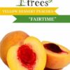 Peach Fairtime Tree